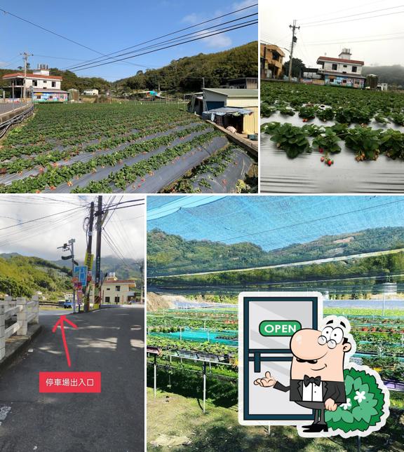 村長伯草莓園
