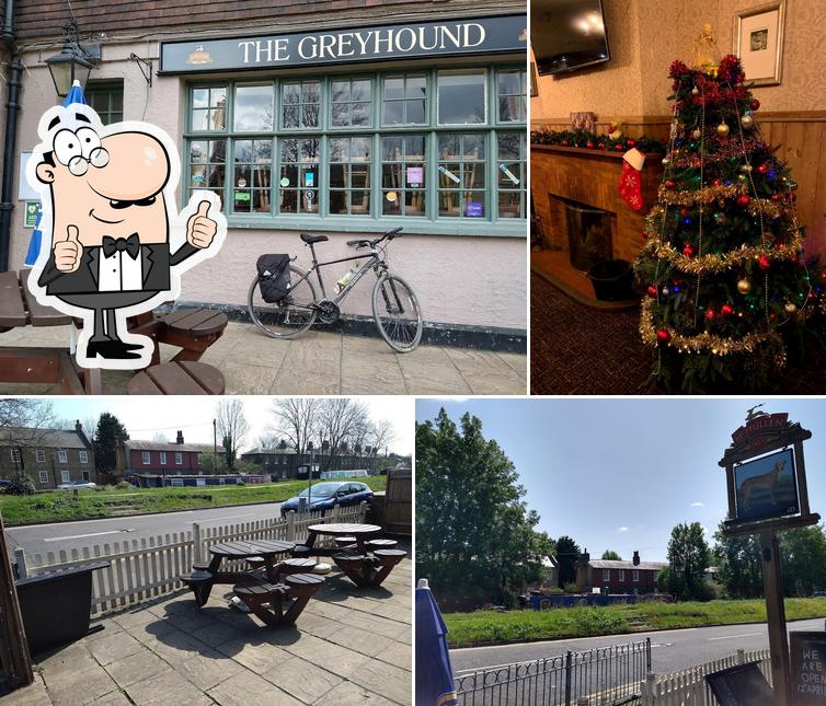The Greyhound