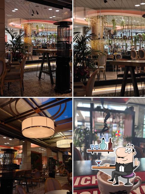 Yucca Bar