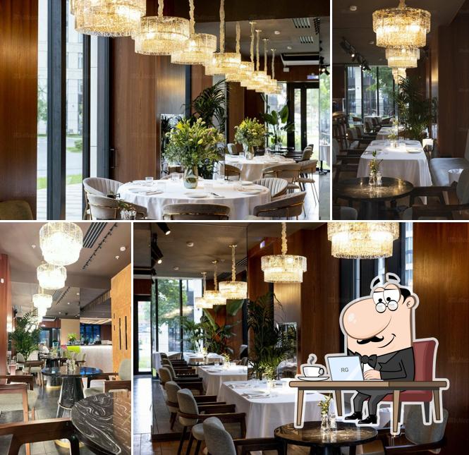 Mio Kitchen & Bar