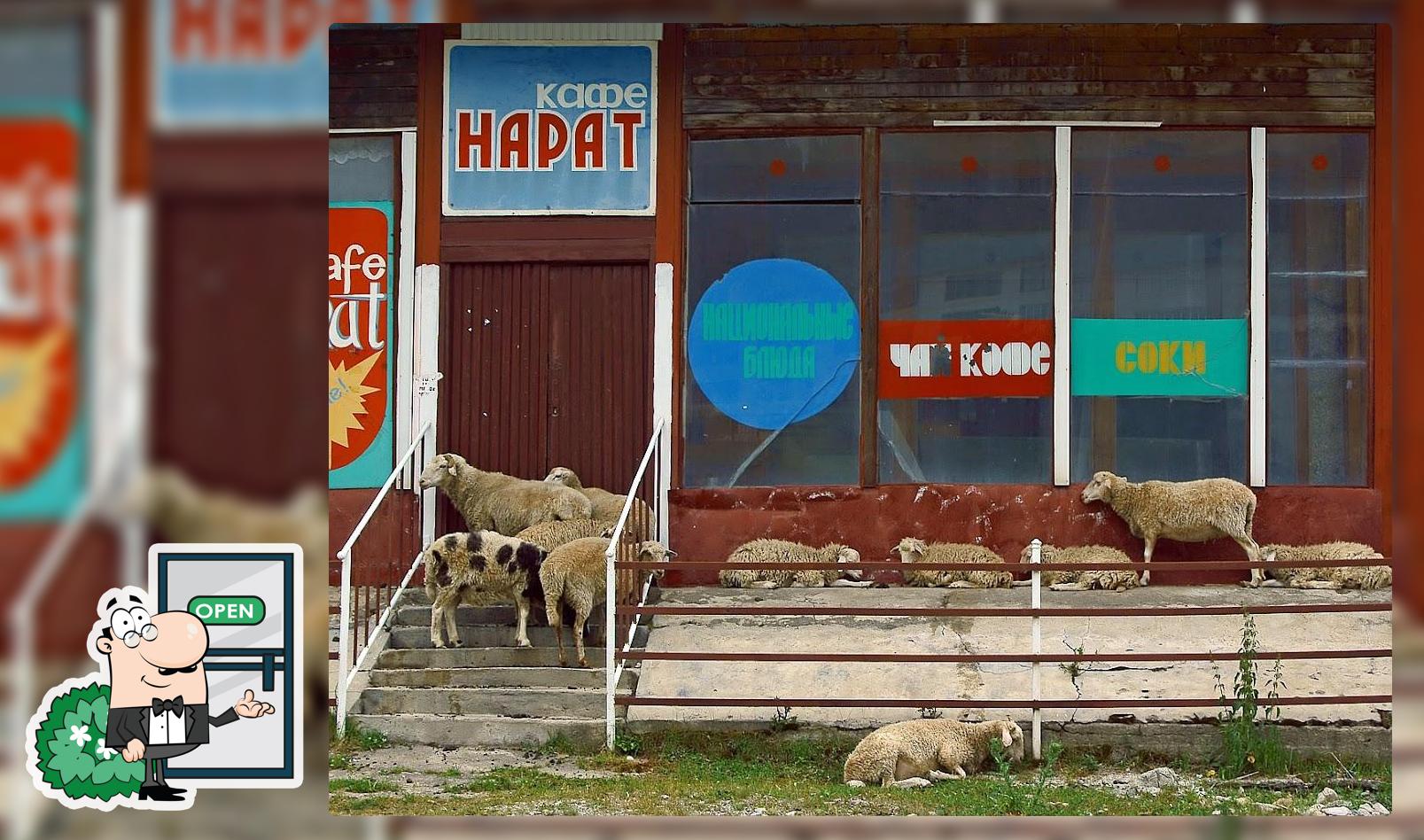 Нарат