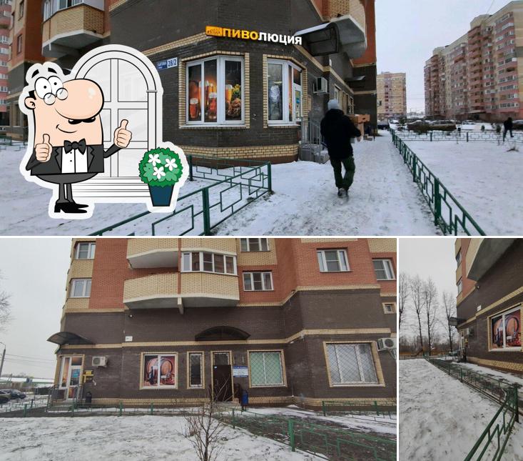 Пиволюция
