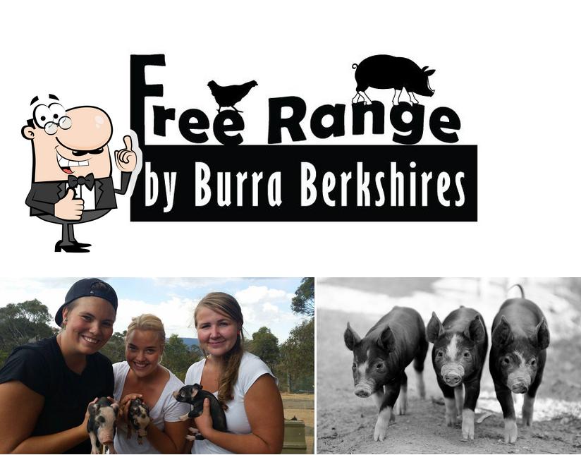 Free Range by BurraBerkshires