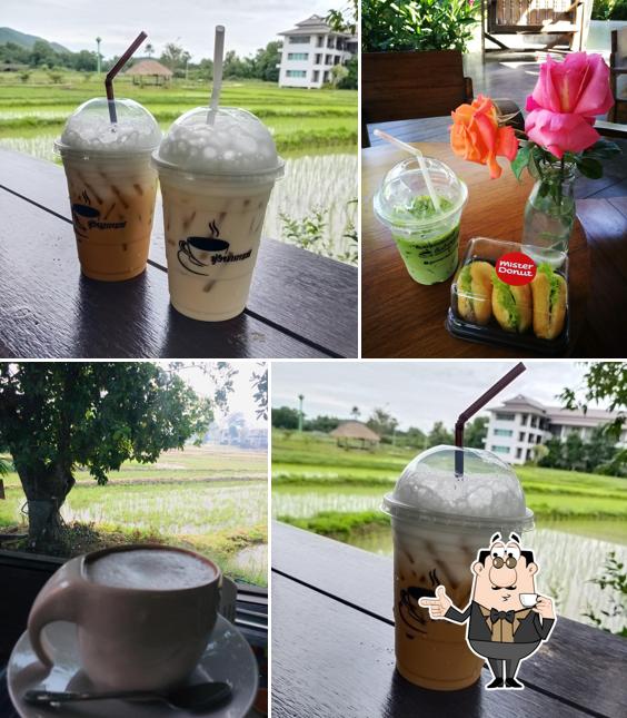 ทุ่งนากาแฟ at เชียงใหม่