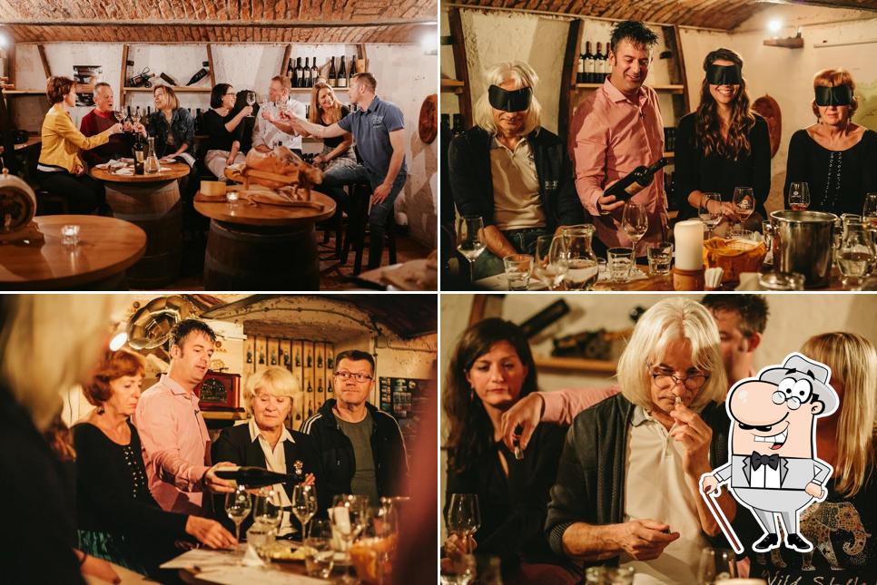 Wine Tasting Bled - Slovenian Wine
