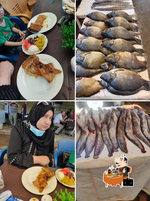 اسماك الجسر العتيق