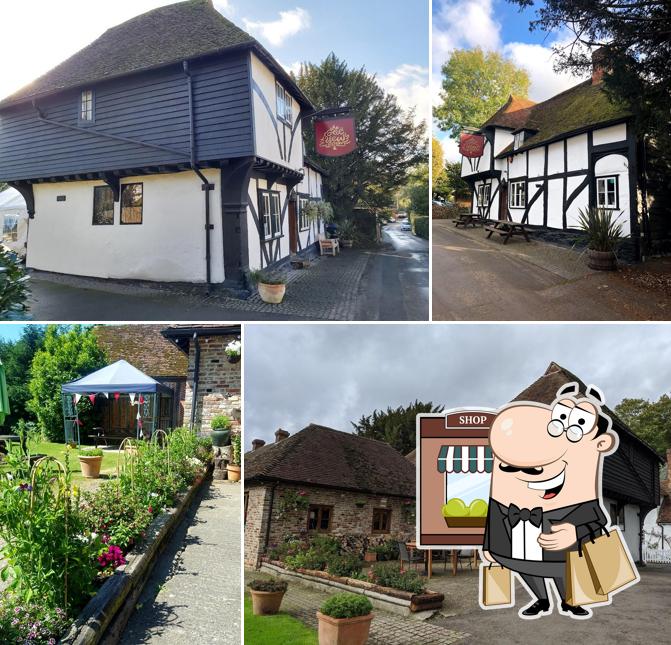 Ye Olde Yew Tree