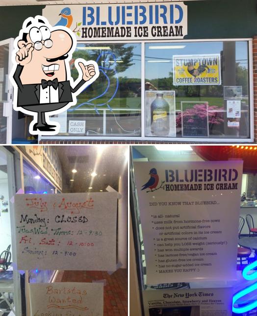 Bluebird Homemade Ice Cream