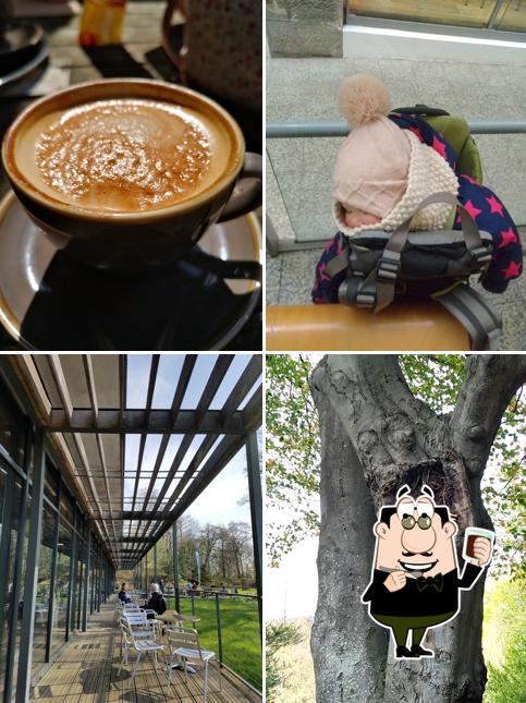 Seeds Café
