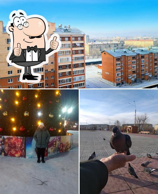 КСК Шаурма