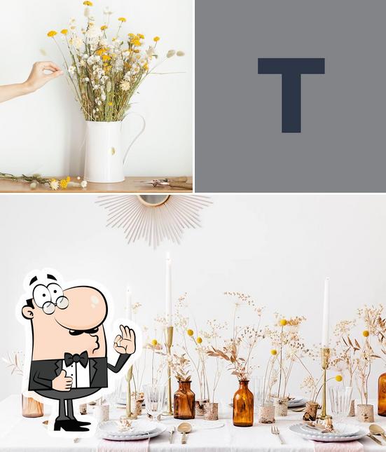 Thebigbloom
