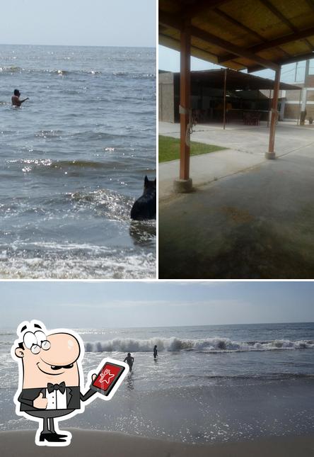 Restautant LAS GAVIOTAS