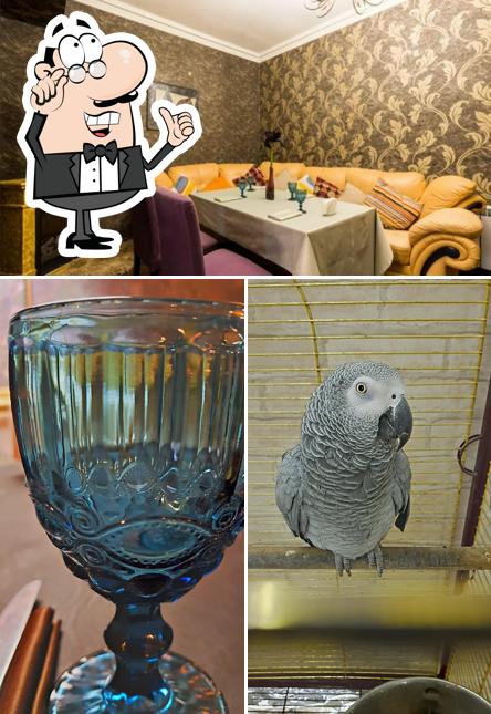 Забронируйте столик в "Колхи"