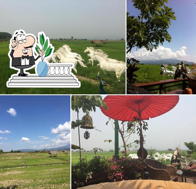 Phu Forest Cafe and Restaurant
