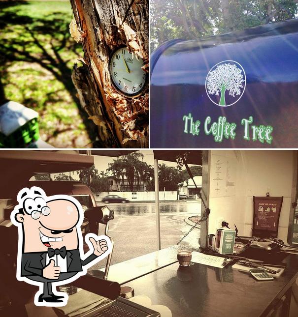 The Coffee Tree