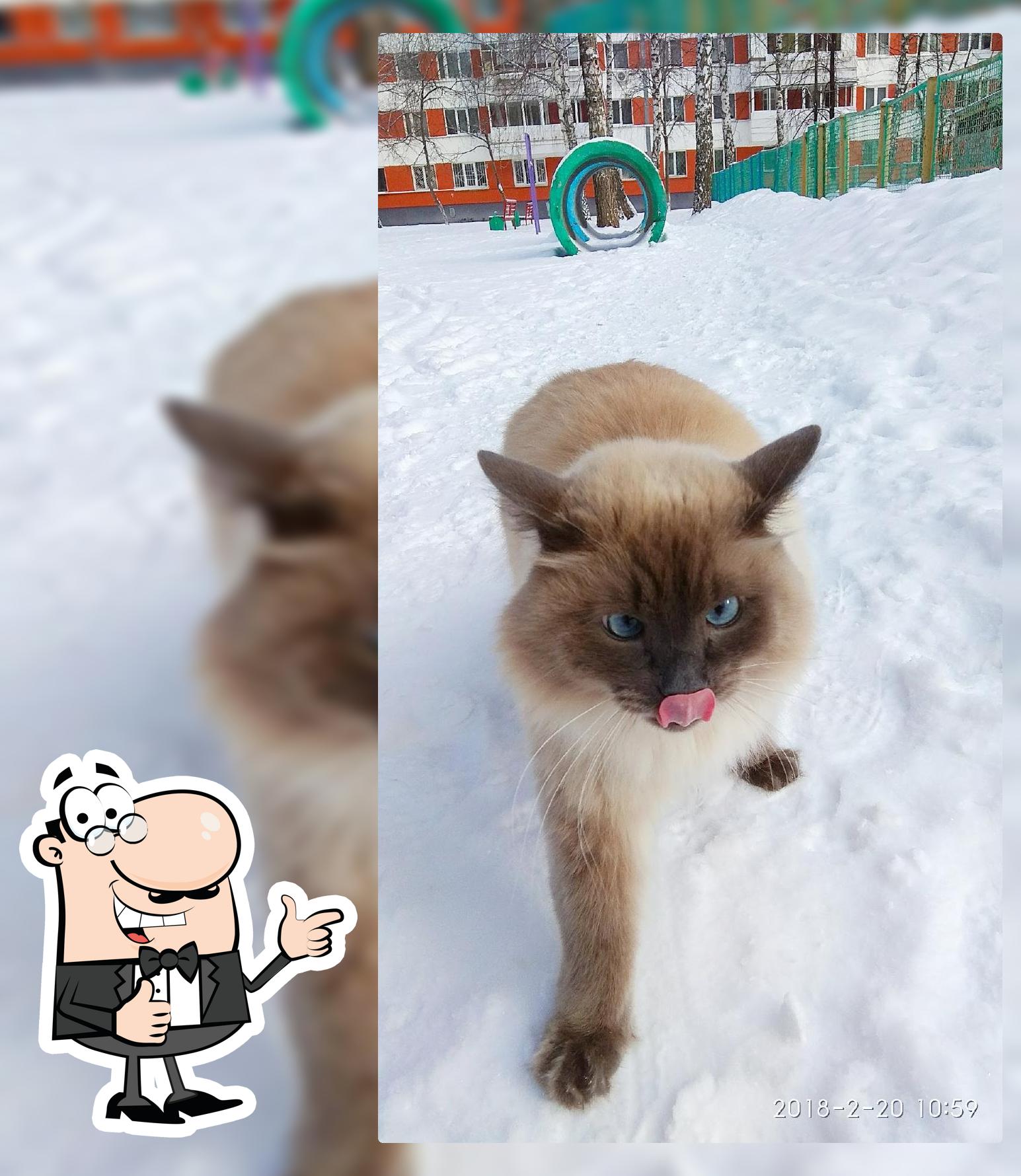 Пивоман