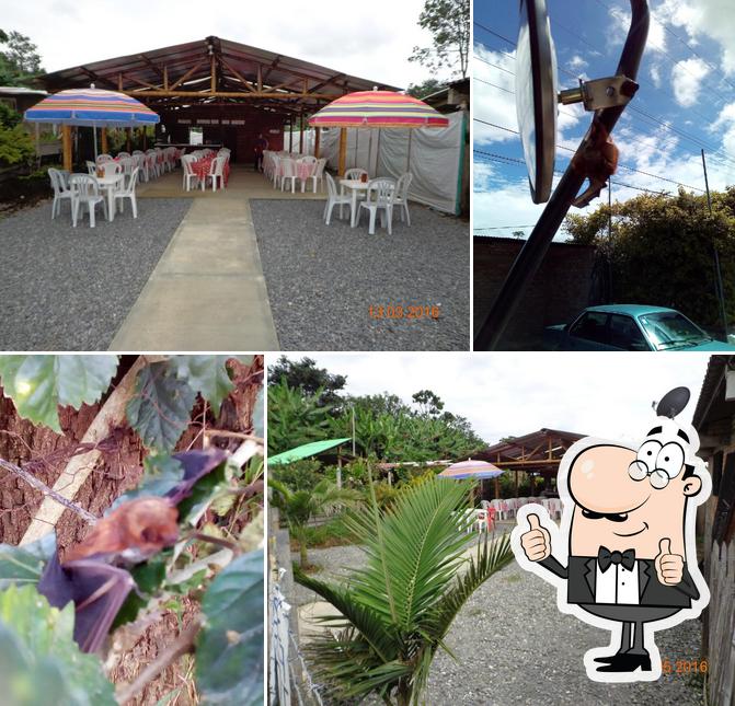 EL PALMAR Comidas Tipicas