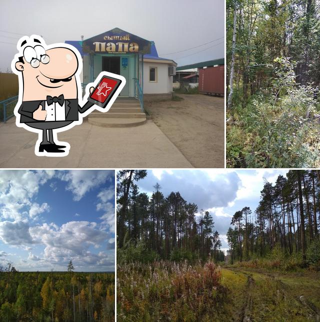 Сытый папа