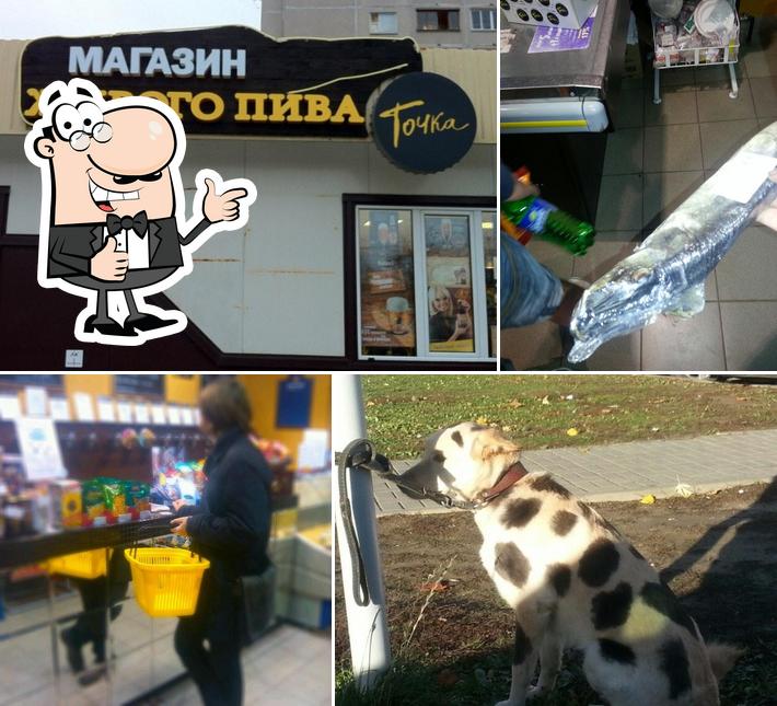 Точка на Лобанка
