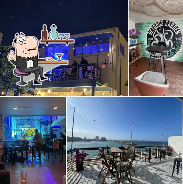 Octopus Garden Music Cafe