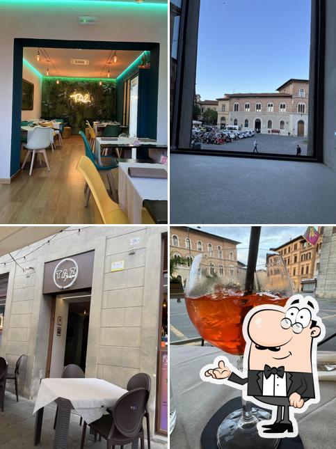 TAZ Siena