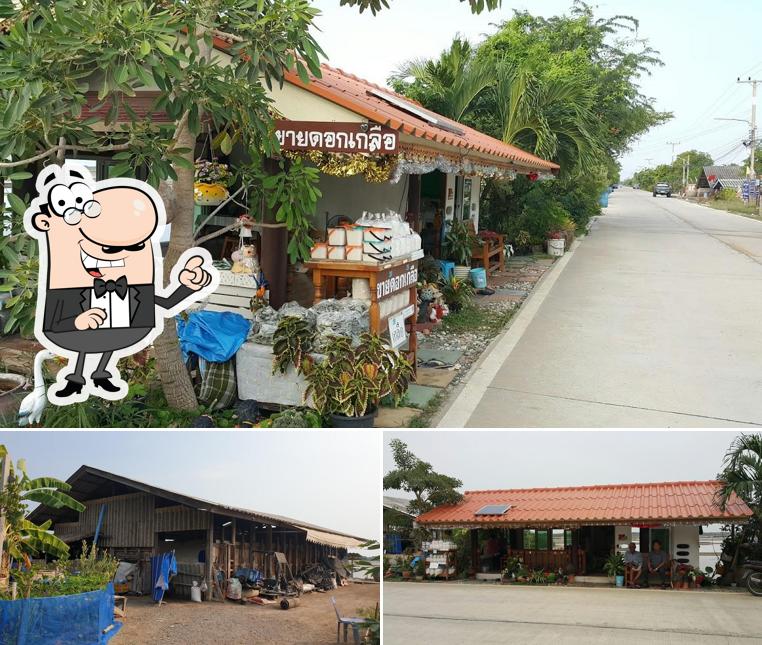 ร้านขายดอกเกลือ