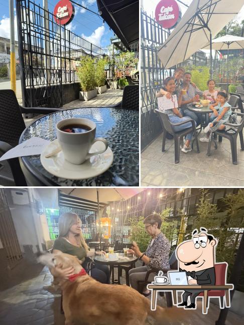 Café Tulcán