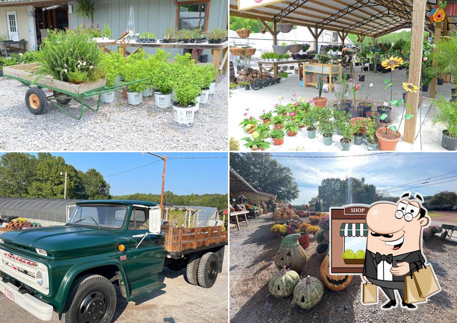 Hilltop Farms & Market