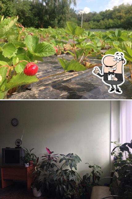 Столовая КГАУ