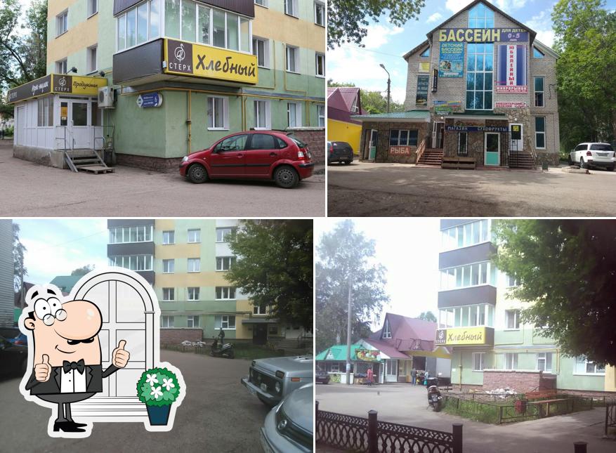 Стерх