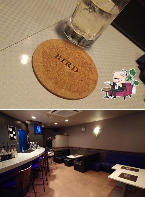 BAR BIRD