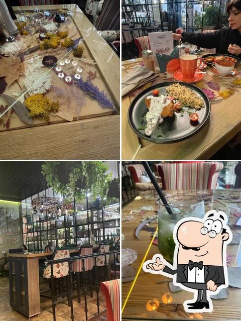 Интерьер "Ботаника"