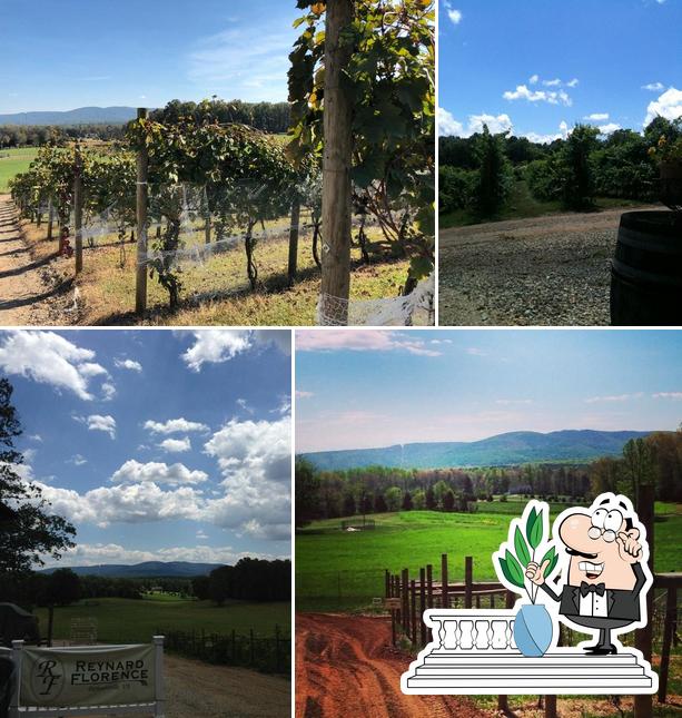 Reynard Florence Vineyard