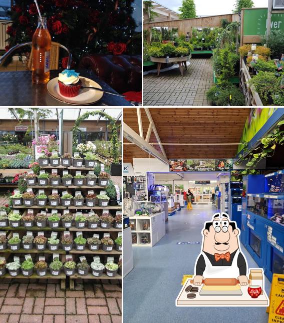 Dobbies Garden Centre Edinburgh