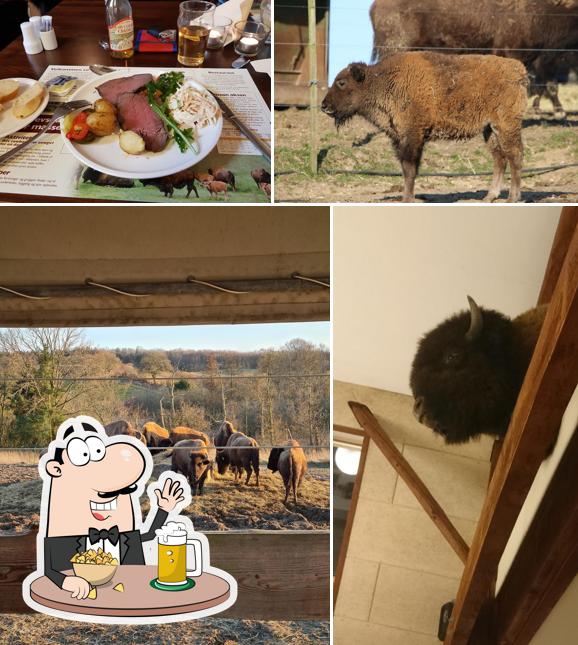 Ditlevsdal Bisonfarm