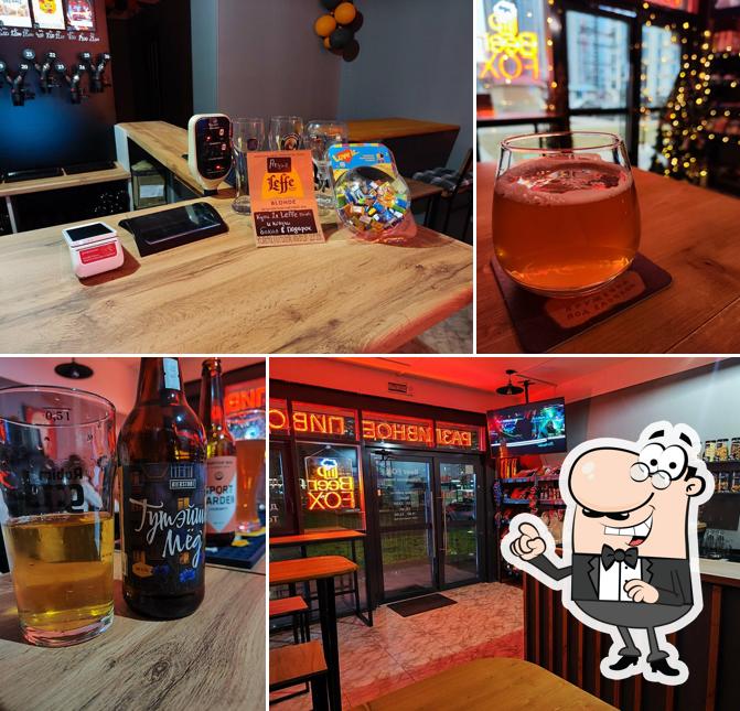 Beer Fox
