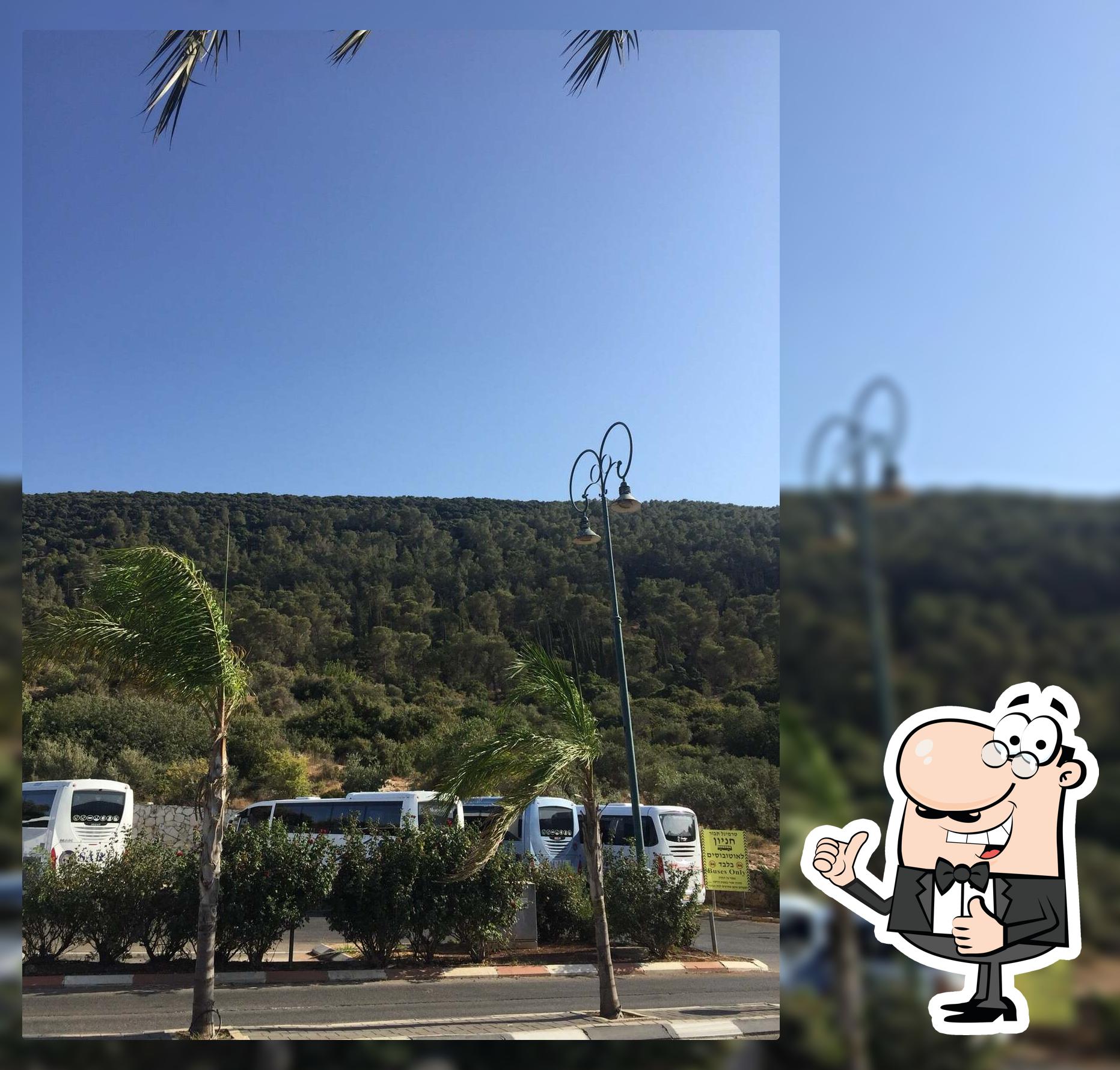 מאהל התבור