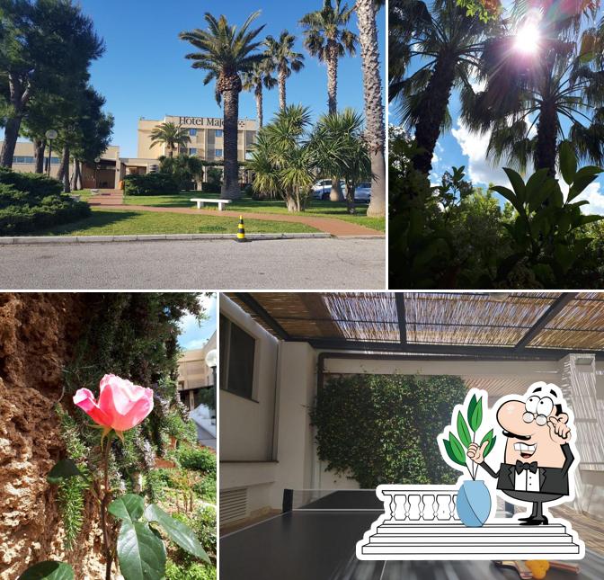 Hotel Majesty Bari