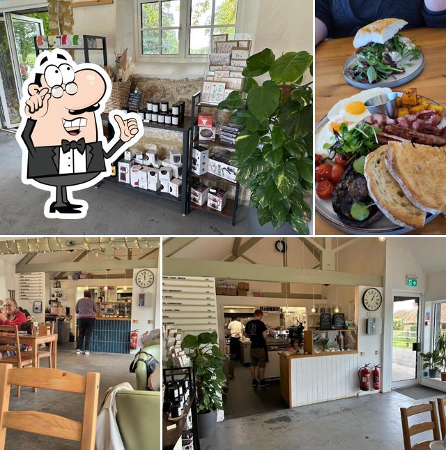 Base Coffee + Kitchen