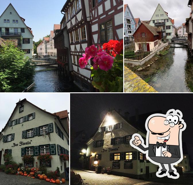 Restaurant Zur Forelle