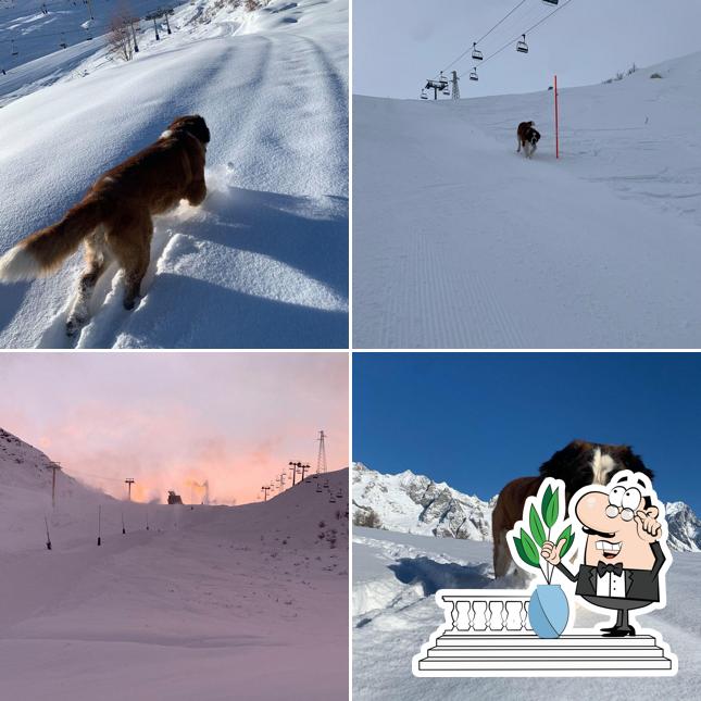 ski pol da geremia