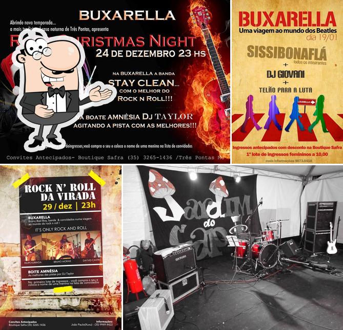 Buxarella