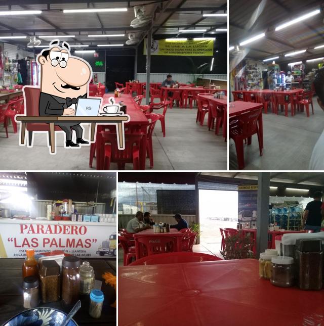 Paradero " Las Palmas" (Chiliskyz)