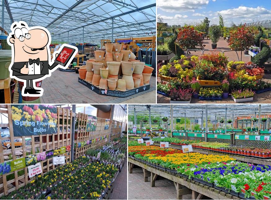 Swarkestone Nursery