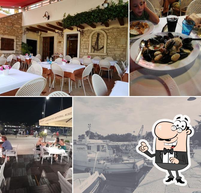 Sidro Ancora Novigrad