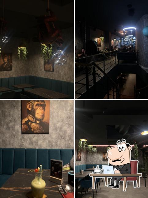 Monkey lounge