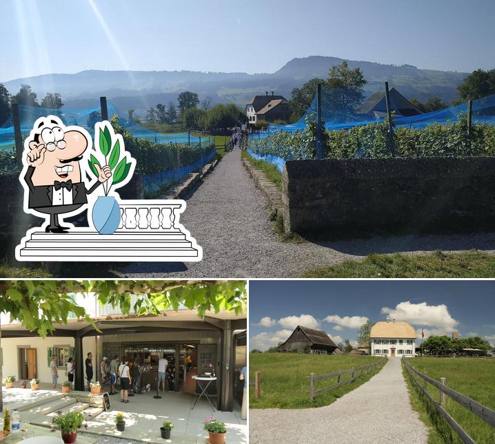 Restaurant Insel Ufenau