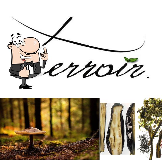 Terroir