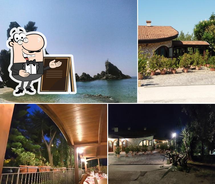 Ristorante Pizzeria L'Uliveto
