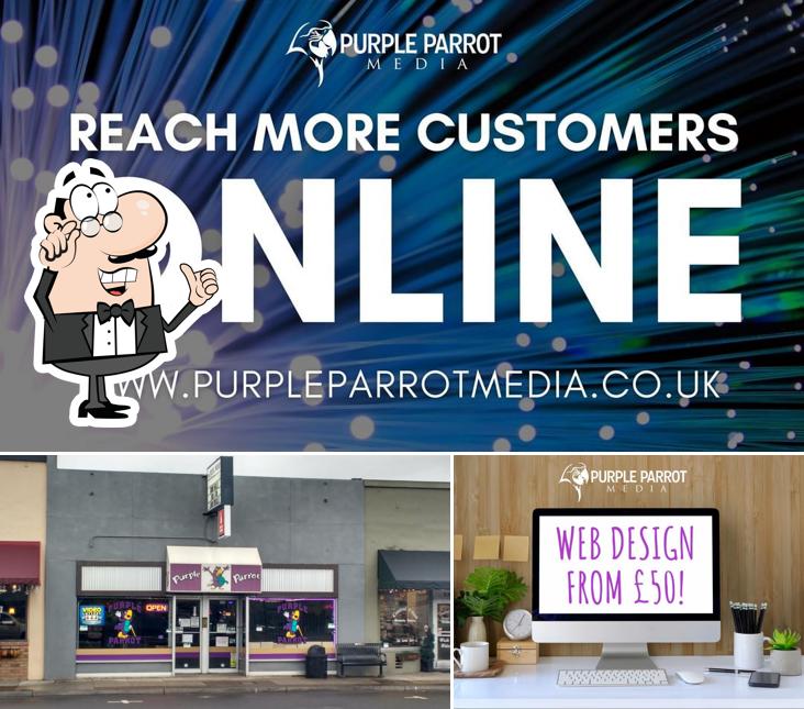 Purple Parrot
